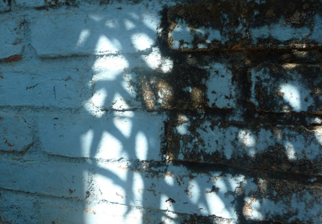 Blue Shade