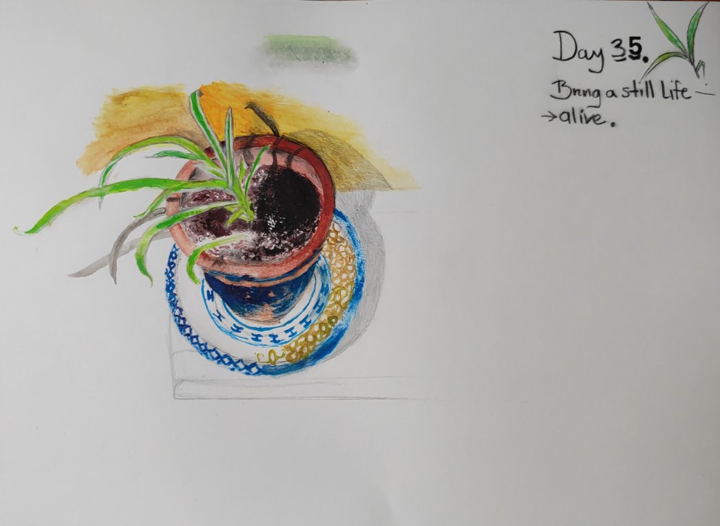 Day 35