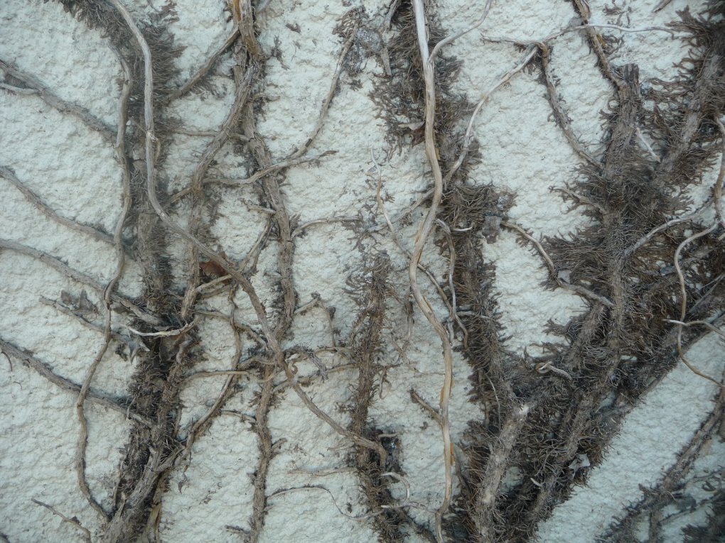 Traces I