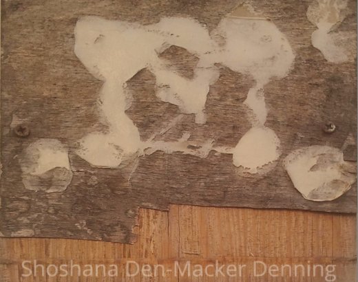 Deux sœurs fâchées