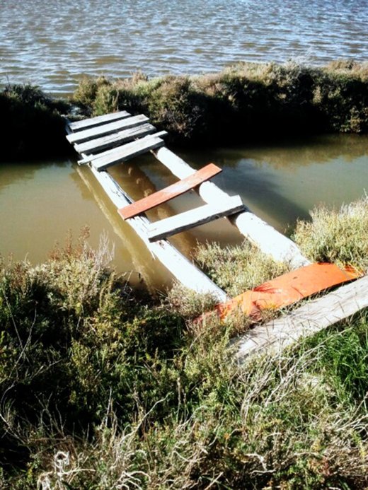 Bridge over troubled water